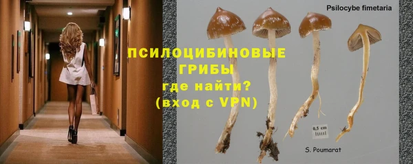 героин Богданович