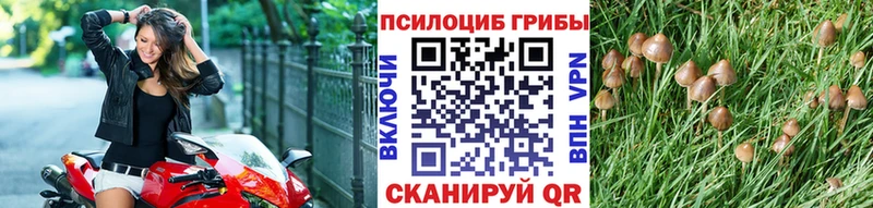 где продают   Братск  Галлюциногенные грибы ЛСД 
