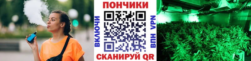 Бошки Шишки Amnesia купить цена Братск